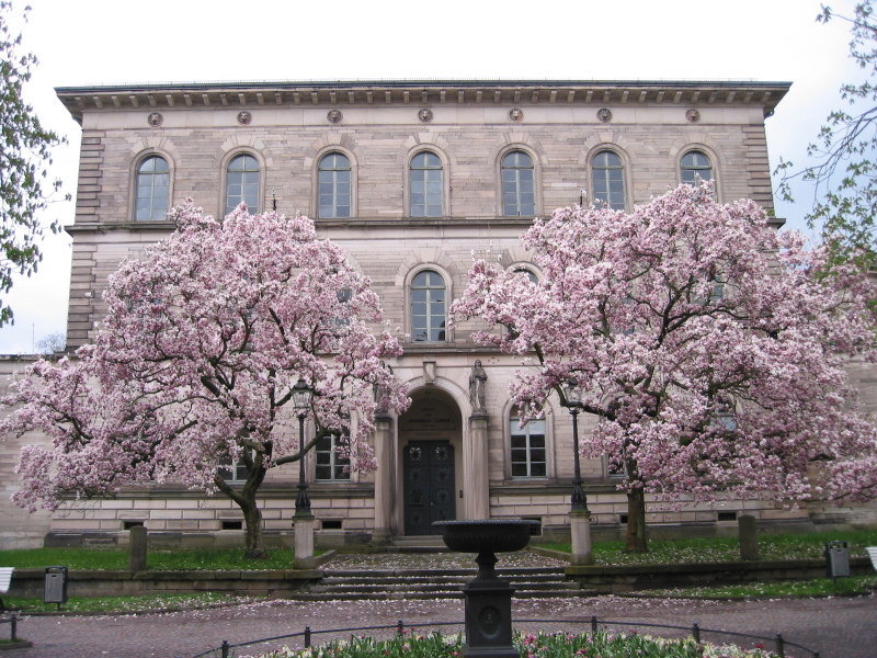 2005/04 April/Germany/800x600_IMG_1681.JPG